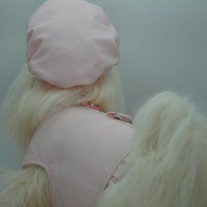 Dog Clothes Rhinestones Couture Harness and Hat in Baby Pink Sz S NWOT